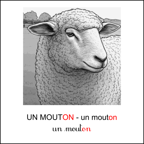 mouton